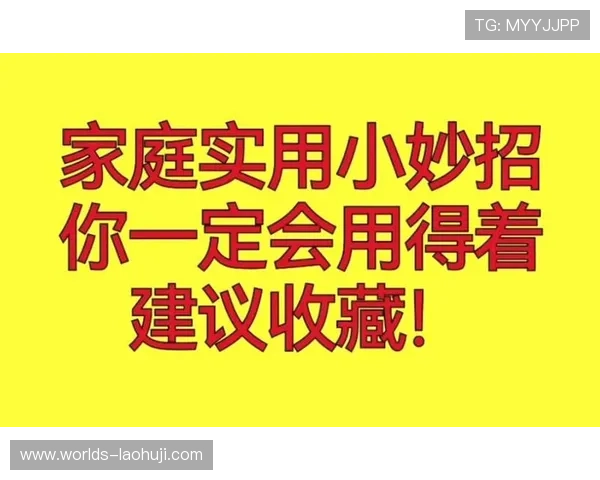 老虎机平台论坛安全性分析与选择优质平台的实用建议